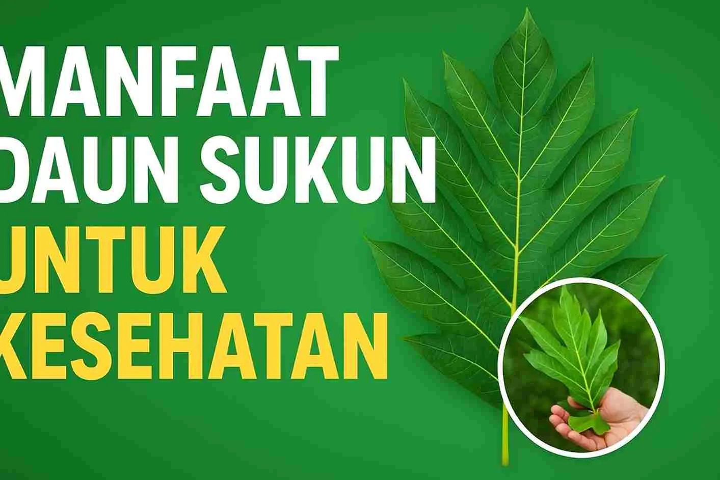 Gambar daun sukun segar dengan tulisan “Manfaat Daun Sukun untuk Kesehatan” di atas latar hijau, mewakili manfaat herbal alami bagi tubuh.