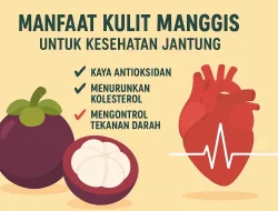 Manfaat Kulit Manggis Untuk Kesehatan Jantung Dan Tubuh