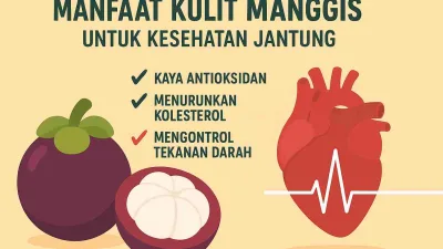 Manfaat Kulit Manggis Untuk Kesehatan Jantung Dan Tubuh