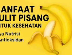 Manfaat Kulit Pisang Untuk Kesehatan Yang Jarang Diketahui