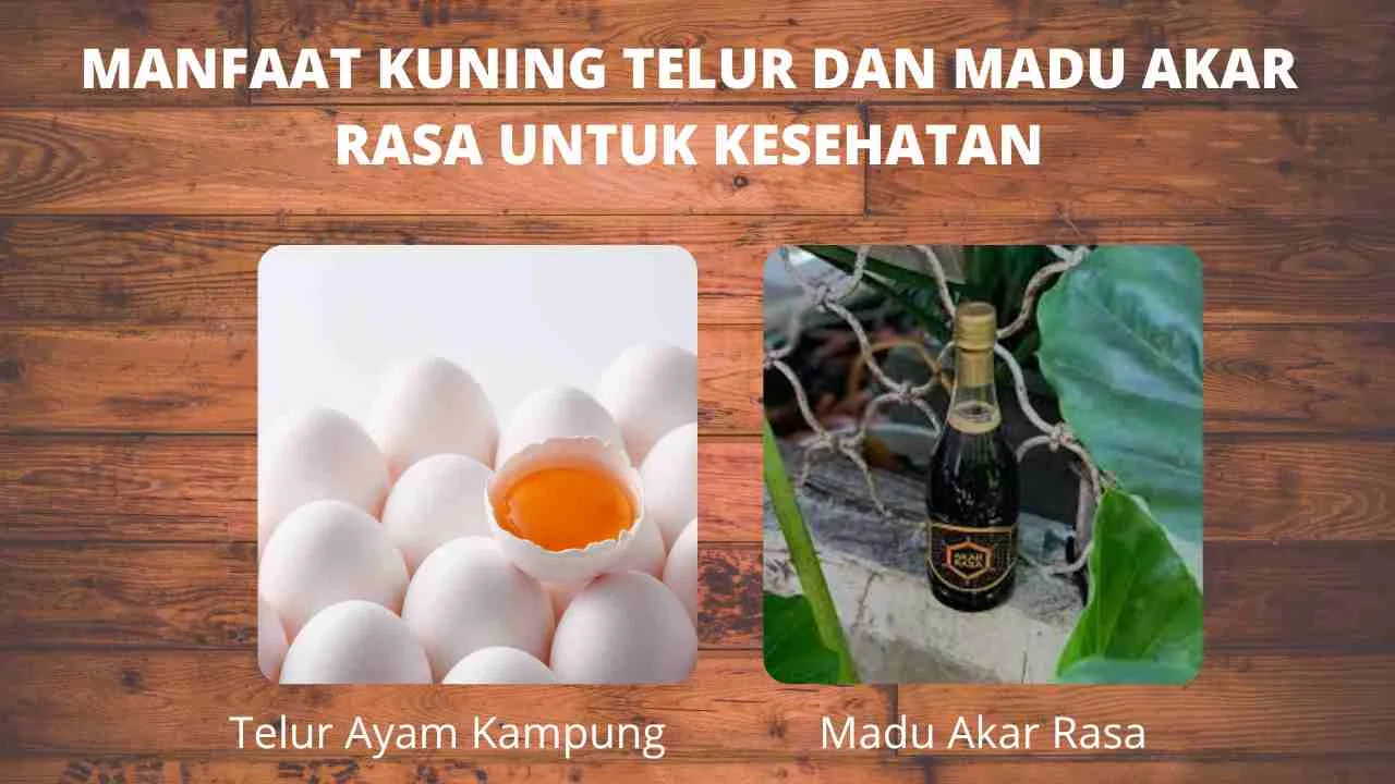 Ilustrasi manfaat kombinasi kuning telur ayam kampung dan madu Akar Rasa untuk kesehatan tubuh.