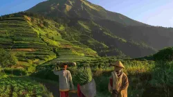 Perempuan Tangguh Desa Adipuro: Penggerak Ekonomi Di Lereng Sumbing