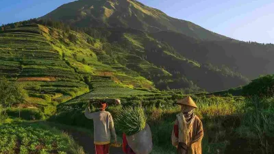 Perempuan Tangguh Desa Adipuro: Penggerak Ekonomi Di Lereng Sumbing