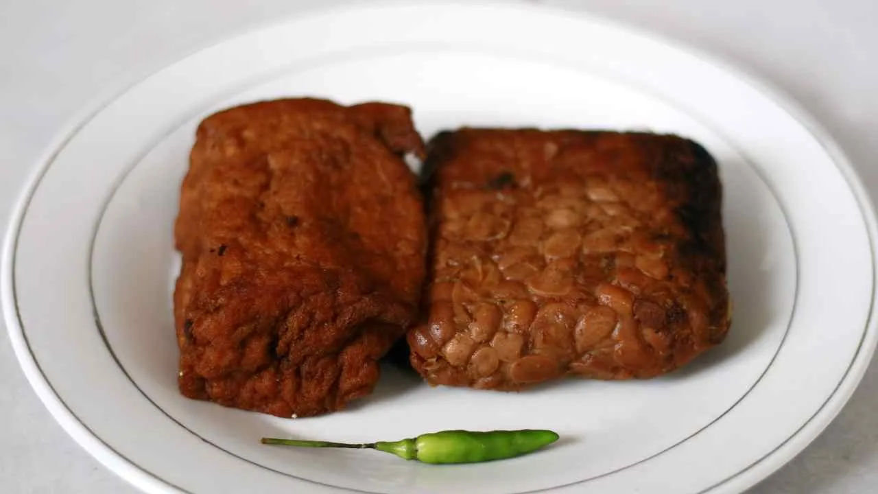 Dua potong tempe bacem khas Yogyakarta berwarna cokelat tua disajikan di piring putih dengan cabai rawit hijau di depannya.