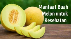 5 Manfaat Buah Melon Untuk Tubuh Yang Lebih Sehat