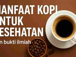 6 Manfaat Kopi Untuk Kesehatan Dan Bukti Ilmiah Yang Perlu Kamu Tahu