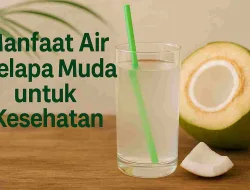 7 Manfaat Air Kelapa Muda Untuk Kesehatan Tubuh