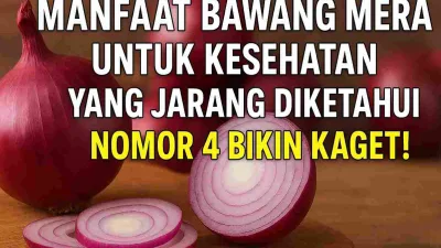 Foto bawang merah utuh dan bawang merah yang sudah diiris dengan tulisan “7 Manfaat Bawang Merah untuk Kesehatan yang Jarang Diketahui, Nomor 4 Bikin Kaget!
