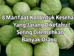 8 Manfaat Kol Untuk Kesehatan Yang Jarang Diketahui! Sering Diremehkan Banyak Orang