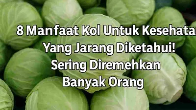 Gambar beberapa kol hijau segar yang tersusun rapat, dengan teks “8 Manfaat Kol Untuk Kesehatan Yang Jarang Diketahui! Sering Diremehkan Banyak Orang” di bagian tengah atas.