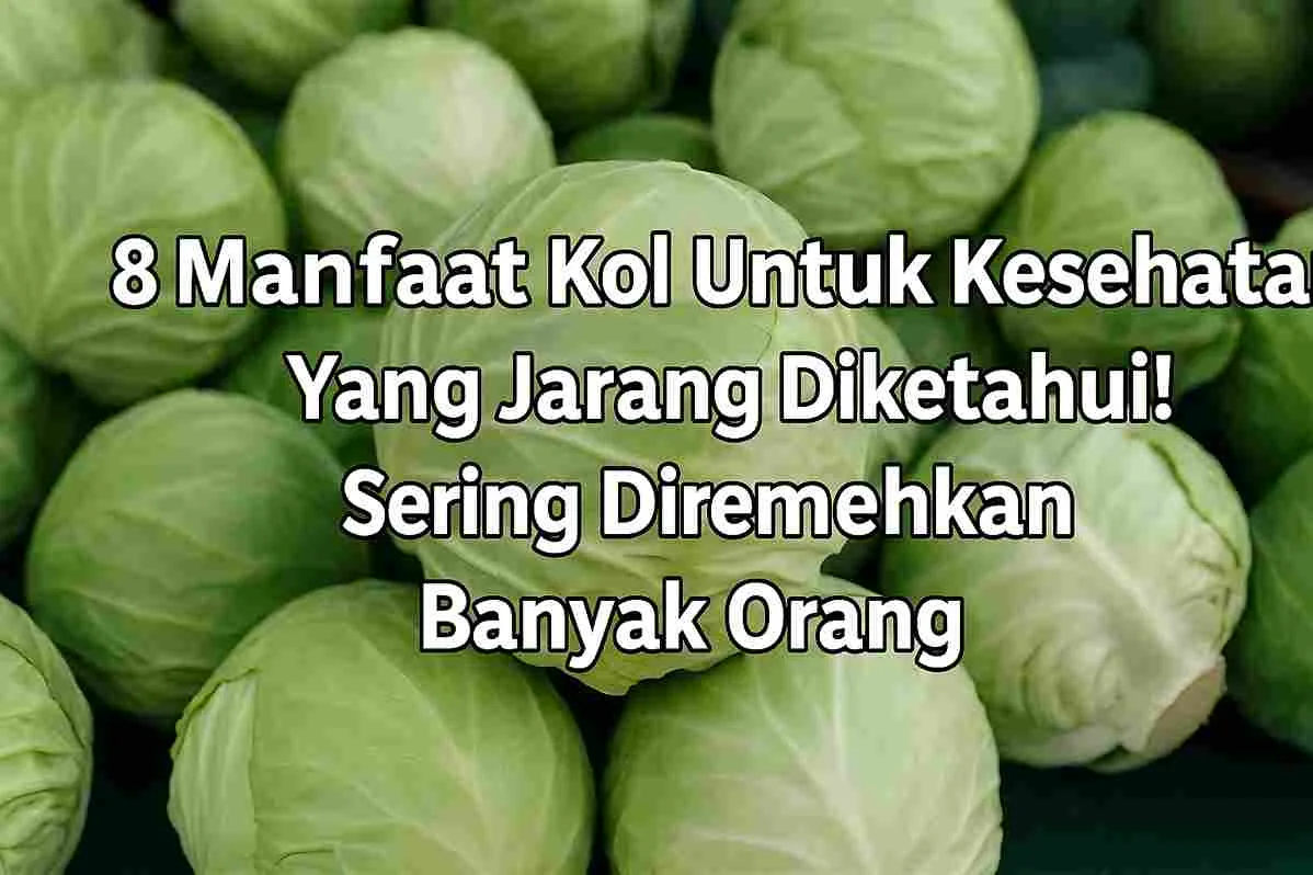 Gambar beberapa kol hijau segar yang tersusun rapat, dengan teks “8 Manfaat Kol Untuk Kesehatan Yang Jarang Diketahui! Sering Diremehkan Banyak Orang” di bagian tengah atas.