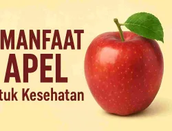 9 Manfaat Apel untuk Kesehatan yang Jarang Diketahui