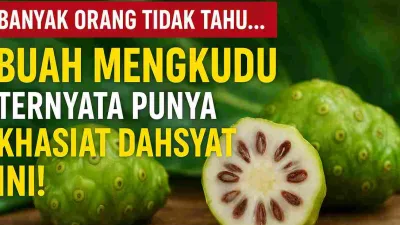 Foto buah mengkudu segar berwarna hijau, salah satunya dibelah untuk memperlihatkan bagian dalamnya, dengan tulisan overlay ‘Banyak Orang Tidak Tahu… Buah Mengkudu Ternyata Punya Khasiat Dahsyat Ini!’.
