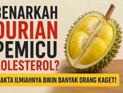 Benarkah Durian Pemicu Kolesterol? Fakta Ilmiahnya Bikin Banyak Orang Kaget!