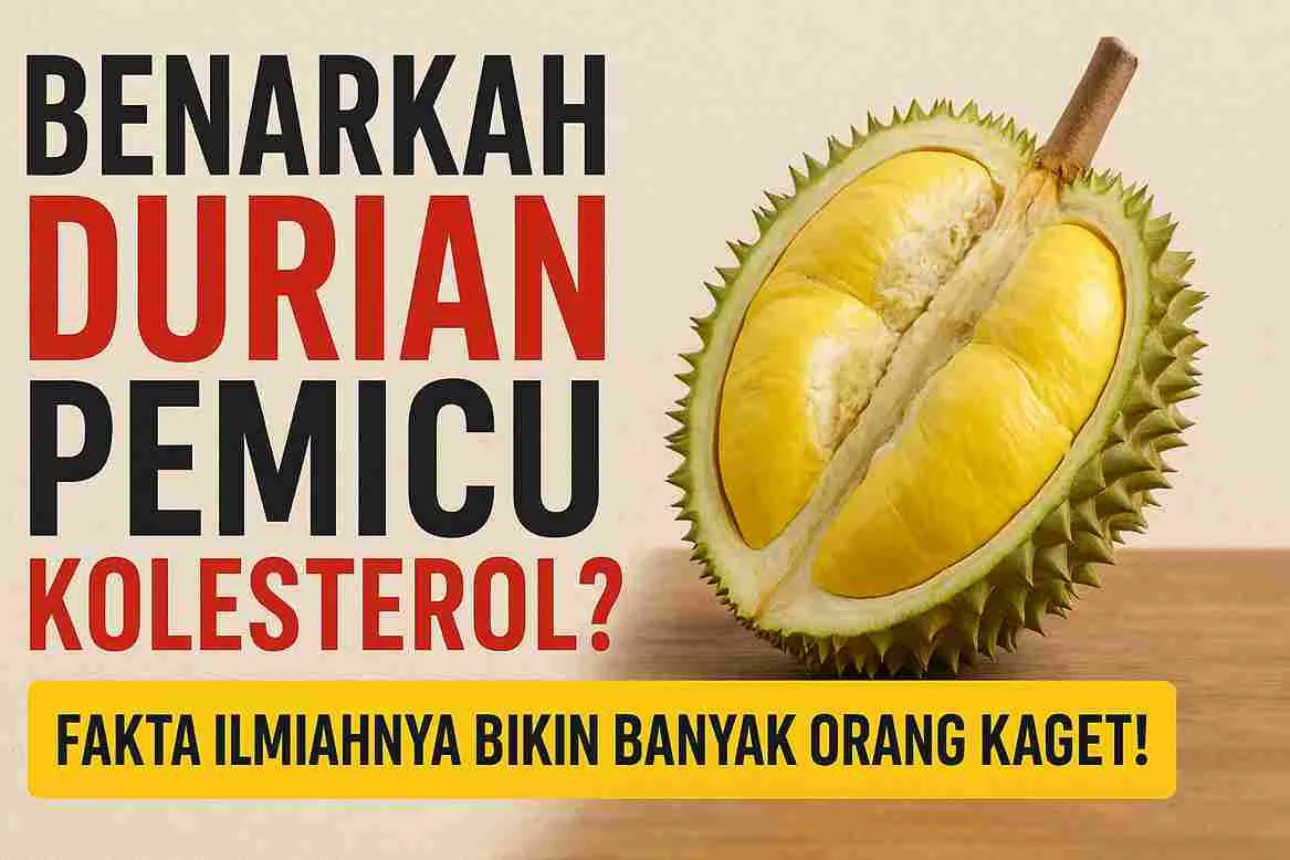 Gambar thumbnail berisi judul “Benarkah Durian Pemicu Kolesterol?” dengan ilustrasi durian yang sudah dibelah, menampilkan daging buah berwarna kuning.