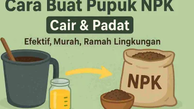 Thumbnail ilustrasi cara membuat pupuk NPK cair dan padat, menampilkan ember berisi cairan, botol pupuk cair, panah kuning, dan karung pupuk NPK.