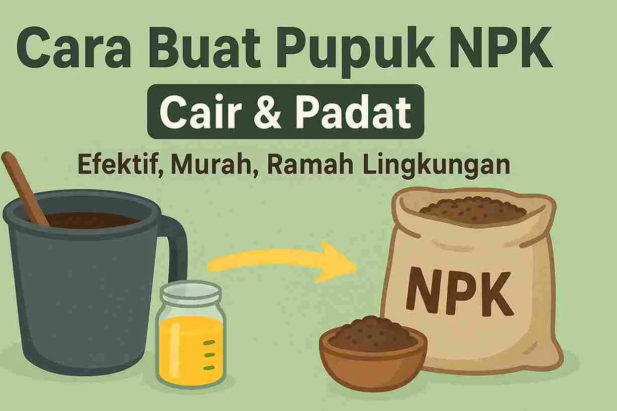 Thumbnail ilustrasi cara membuat pupuk NPK cair dan padat, menampilkan ember berisi cairan, botol pupuk cair, panah kuning, dan karung pupuk NPK.