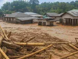 Diterjang Bencana! Banjir & Longsor yang Menyisakan Luka dan Harapan