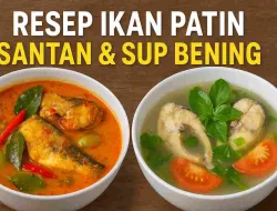 Gurih Banget! Resep Ikan Patin Santan & Sup Segar yang Mudah Dibuat Dijamin Ludes