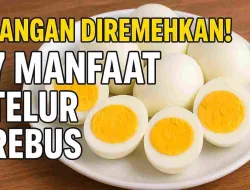Jangan Diremehkan! 7 Manfaat Telur Rebus Yang Bisa Ubah Kesehatan Tubuh Kamu
