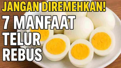 Thumbnail manfaat telur rebus dengan gambar telur rebus utuh dan setengah, disertai tulisan 'Jangan Diremehkan! 7 Manfaat Telur Rebus'.