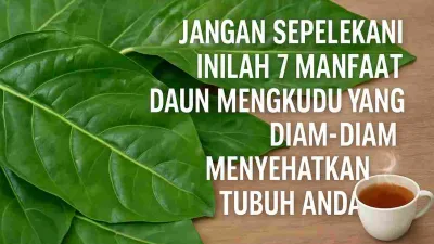 Daun mengkudu segar, buah mengkudu, teh herbal mengkudu, dan ekstrak daun mengkudu yang disajikan di atas meja kayu sebagai ilustrasi manfaat kesehatan daun mengkudu.