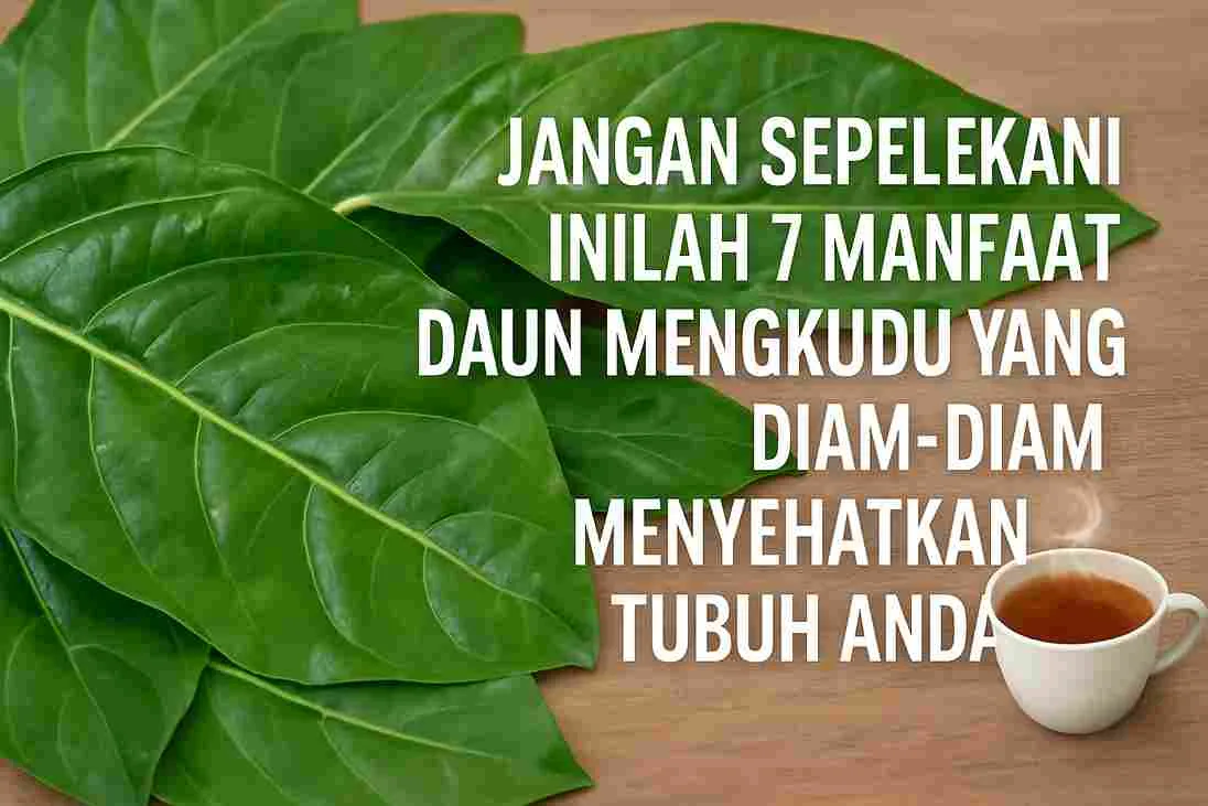 Daun mengkudu segar, buah mengkudu, teh herbal mengkudu, dan ekstrak daun mengkudu yang disajikan di atas meja kayu sebagai ilustrasi manfaat kesehatan daun mengkudu.