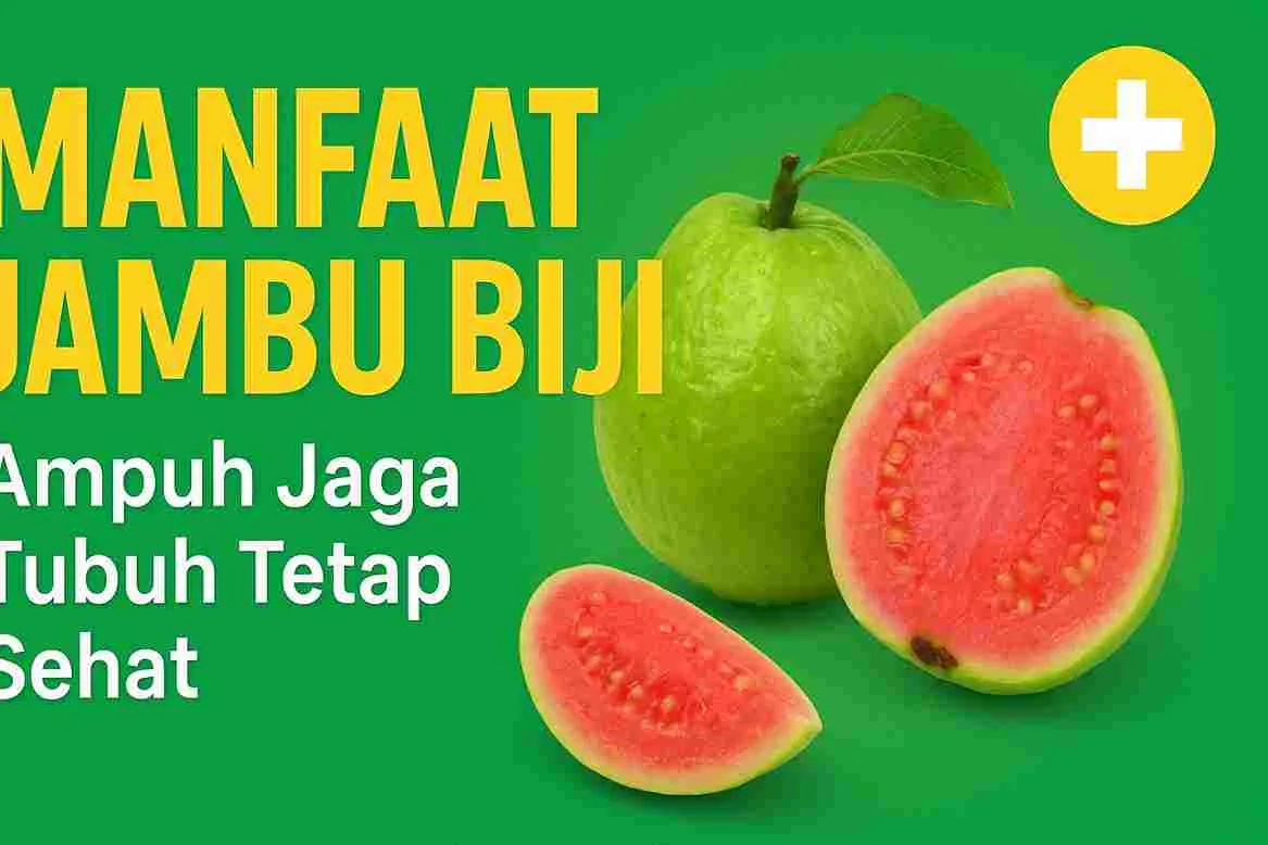 Thumbnail manfaat jambu biji dengan gambar jambu merah segar dan tulisan ampuh jaga tubuh tetap sehat.