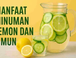 Manfaat Minuman Lemon Dan Timun Untuk Kesehatan Dan Cara Membuatnya