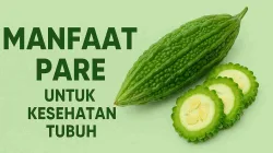Manfaat Pare Untuk Kesehatan Tubuh Yang Jarang Diketahui