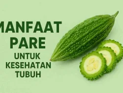 Manfaat Pare Untuk Kesehatan Tubuh Yang Jarang Diketahui