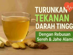 Manfaat Rebusan Sereh Untuk Mengatasi Hipertensi
