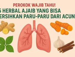 Perokok Wajib Tahu! 5 Herbal Ajaib Yang Bisa Bersihkan Paru-Paru Dari Racun