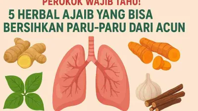 Ilustrasi paru-paru berwarna merah muda dikelilingi oleh lima bahan herbal seperti jahe, kunyit, daun sirih, bawang putih, dan akar manis, dengan teks “Perokok Wajib Tahu! 5 Herbal Ajaib yang Bisa Bersihkan Paru-Paru dari Racun”.