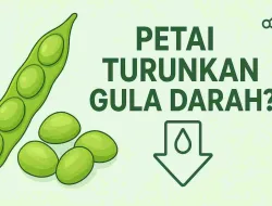 Petai Ternyata Bisa Turunkan Gula Darah? Ini Penjelasan Ilmiah Yang Wajib Kamu Tahu