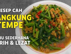 Resep Cah Kangkung Tempe Sederhana Yang Gurih & Lezat Untuk Menu Rumahan