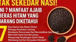 Ilustrasi thumbnail artikel tentang manfaat beras hitam, menampilkan mangkuk berisi beras hitam di atas latar merah dengan tulisan besar “Tak Sekedar Nasi! Ini 7 Manfaat Ajaib Beras Hitam Yang Jarang Diketahui”.
