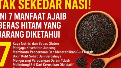 Ilustrasi thumbnail artikel tentang manfaat beras hitam, menampilkan mangkuk berisi beras hitam di atas latar merah dengan tulisan besar “Tak Sekedar Nasi! Ini 7 Manfaat Ajaib Beras Hitam Yang Jarang Diketahui”.