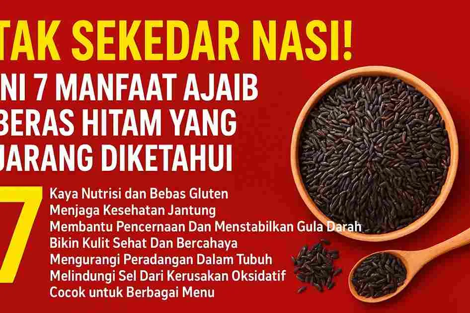 Ilustrasi thumbnail artikel tentang manfaat beras hitam, menampilkan mangkuk berisi beras hitam di atas latar merah dengan tulisan besar “Tak Sekedar Nasi! Ini 7 Manfaat Ajaib Beras Hitam Yang Jarang Diketahui”.