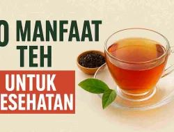 Terbukti! Inilah 10 Manfaat Teh untuk Kesehatan yang Jarang Diketahui Banyak Orang