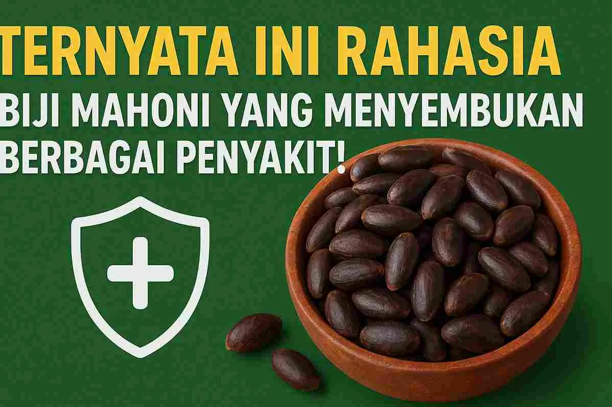 Ilustrasi biji mahoni dalam mangkuk kayu di atas latar hijau dengan tulisan besar ‘TERNYATA INI RAHASIA BIJI MAHONI YANG MENYEMBUHKAN BERBAGAI PENYAKIT!’ serta ikon perisai kesehatan putih.