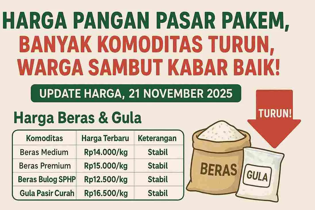 Ilustrasi update harga pangan Pasar Pakem 21 November 2025 dengan judul besar berwarna hijau dan merah, tabel harga beras dan gula, serta ikon panah turun dan gambar karung beras dan gula.