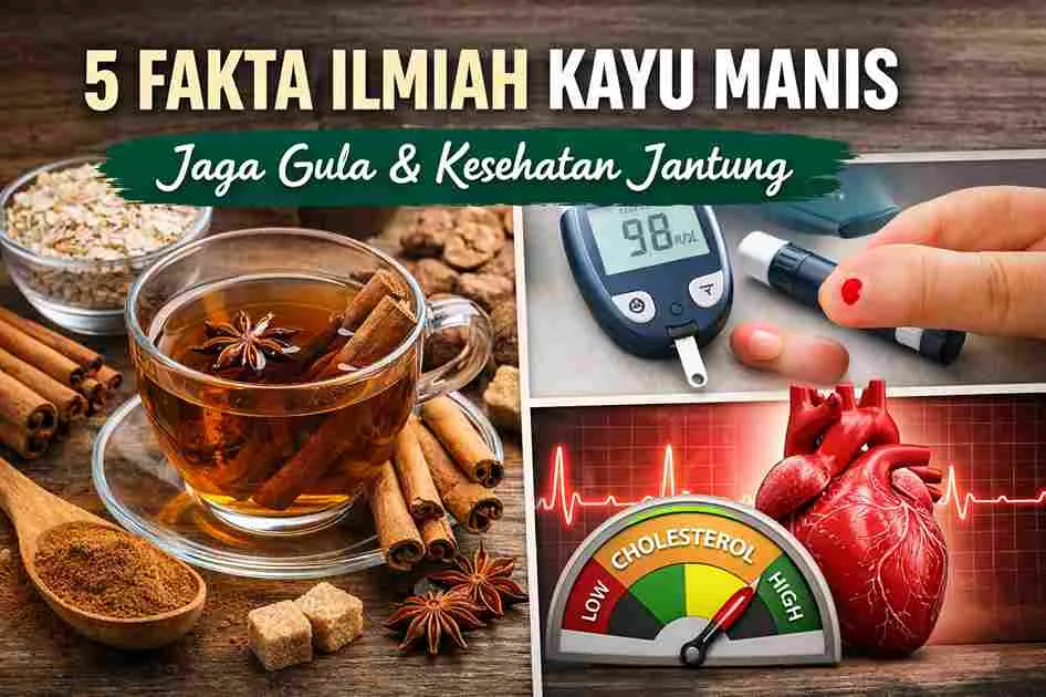 Thumbnail artikel tentang 5 fakta ilmiah kayu manis untuk menjaga gula darah dan kesehatan jantung.