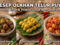 5 Resep Olahan Telur Puyuh Paling Enak untuk Menu Harian