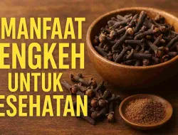 8 Manfaat Cengkeh Untuk Kesehatan No 5 Jarang Disadari