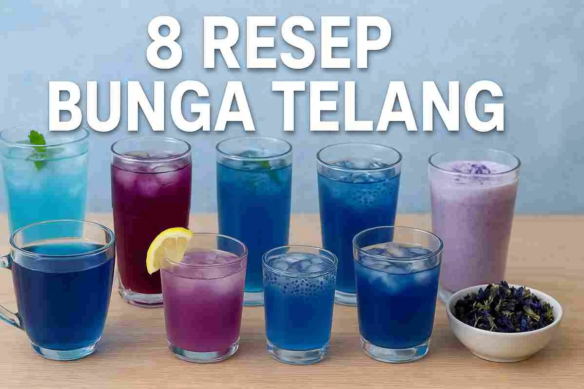 Deretan delapan minuman bunga telang berwarna biru dan ungu dengan tampilan segar, disusun di atas meja sebagai ilustrasi resep minuman telang.