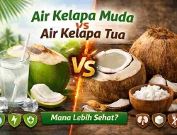 Air Kelapa Muda vs Air Kelapa Tua, Mana yang Lebih Sehat?