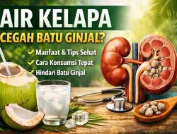 Air Kelapa untuk Batu Ginjal, Manfaat dan Cara Minumnya