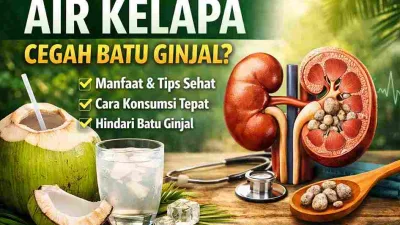 Ilustrasi air kelapa muda dan ginjal dengan batu ginjal sebagai simbol manfaat air kelapa untuk mencegah batu ginjal