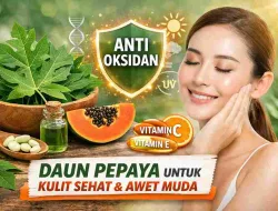 Antioksidan Daun Pepaya, Solusi Alami Cegah Penuaan Dini